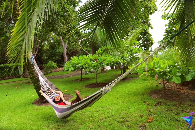 Blue Osa Yoga Retreat Costa Rica