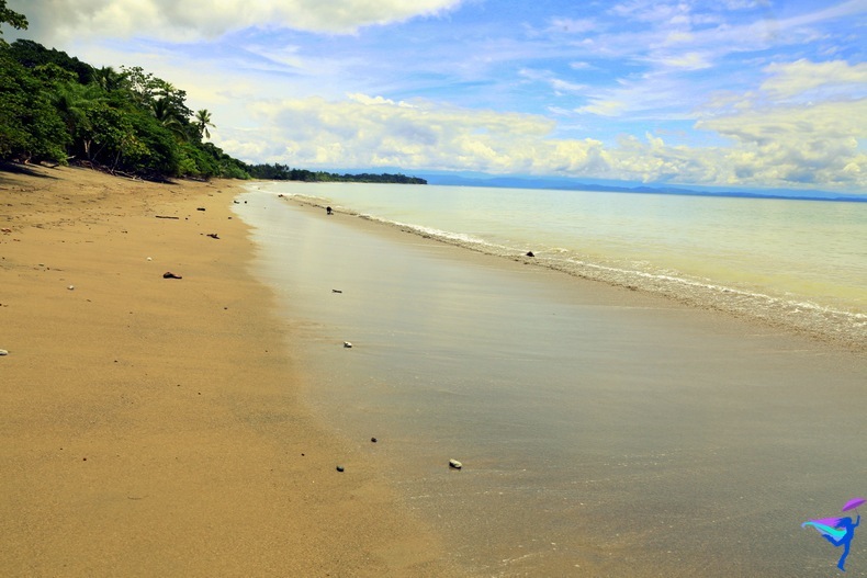 Blue Osa Yoga Retreat Costa Rica