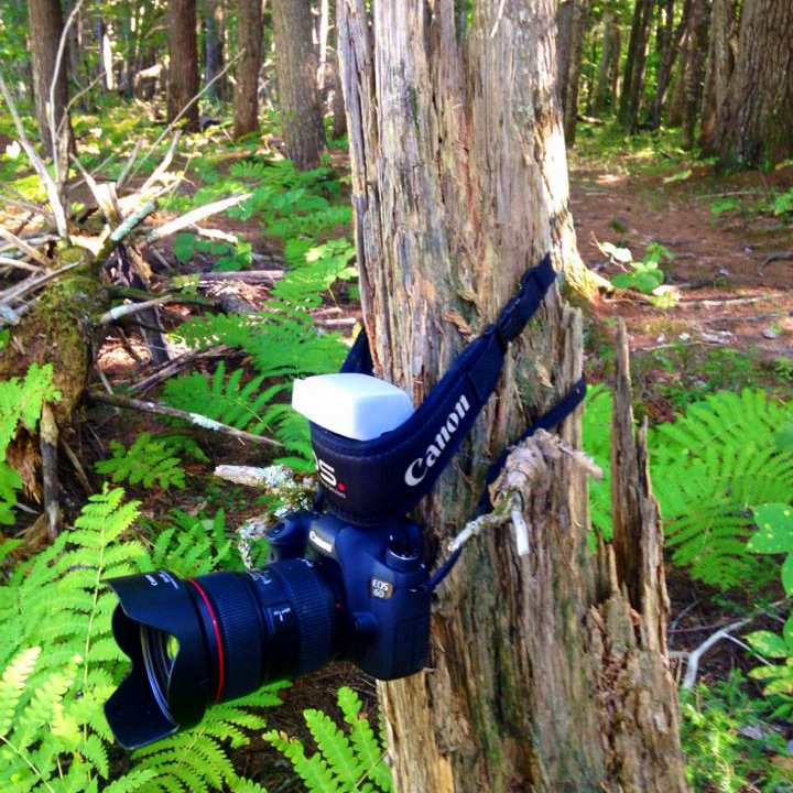 My make-shift tripod stump