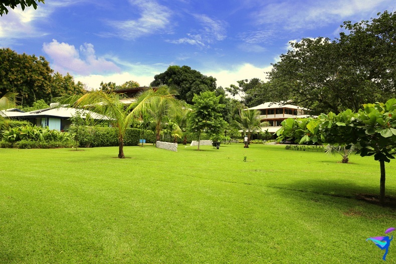 Blue Osa Yoga Retreat Costa Rica