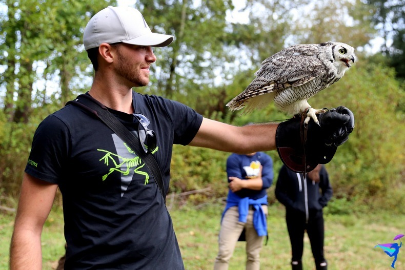 The Raptors of Vancouver Island, British Columbia owl