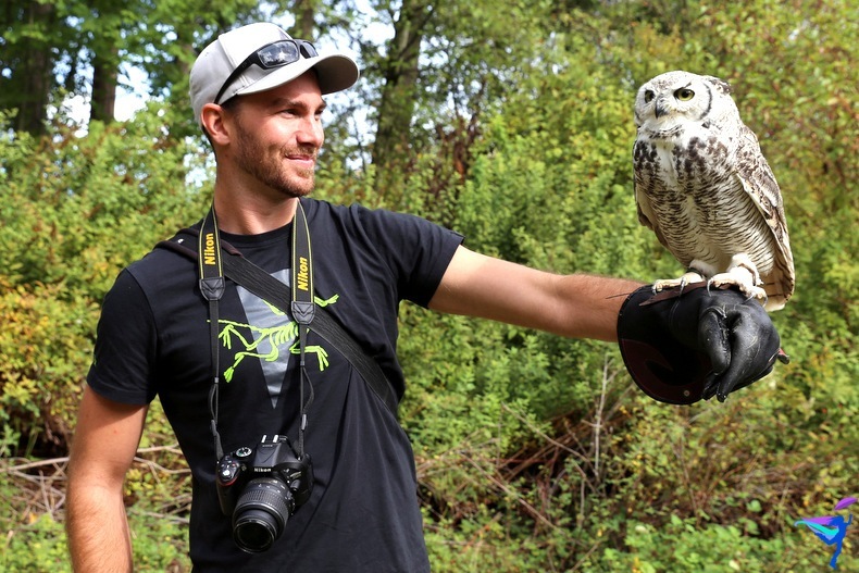 The Raptors of Vancouver Island, British Columbia owl