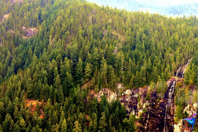 West Coast Wilderness Lodge Vacations Abroad Egmont, British Columbia 