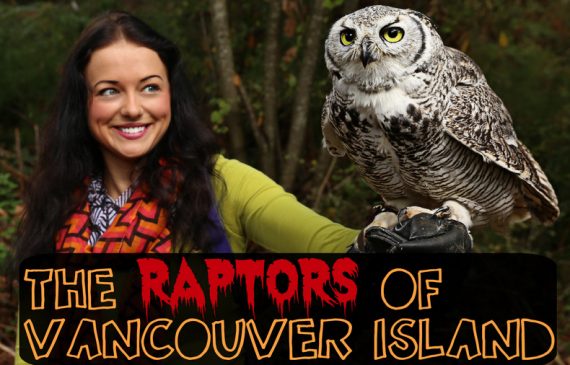 The Raptors of Vancouver Island, British Columbia