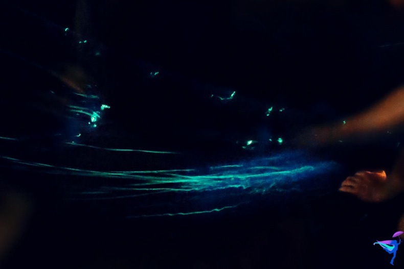 West Coast Wilderness Lodge Vacations Abroad Egmont, British Columbia Bioluminescence 