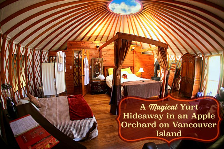 A Magical Yurt Hideaway and Faeries in an Apple Orchard on Vancouver Island