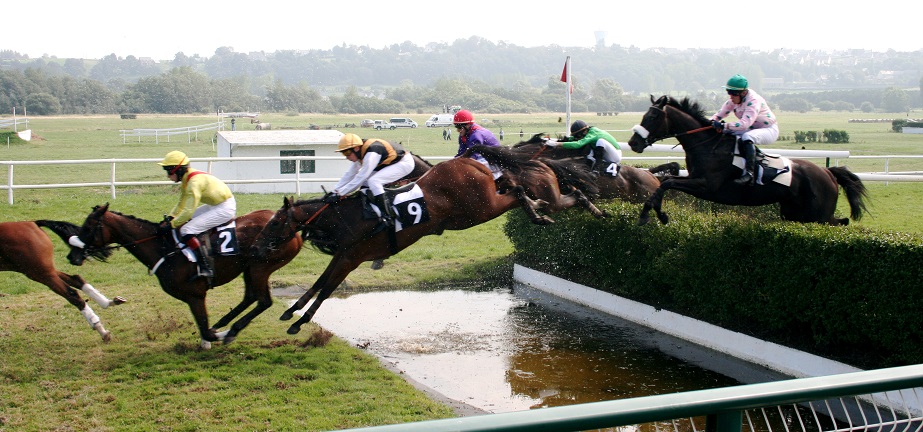 Steeplechase_(1257926029)