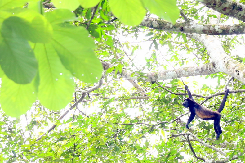 CostaRica6