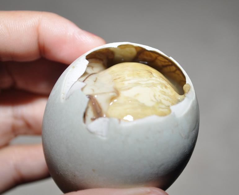 egg