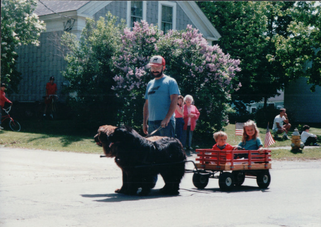 large dogs pulling wagon of children