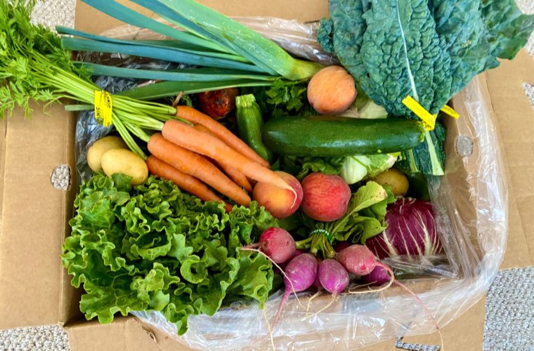 Organic Farm Produce Box for Delivery