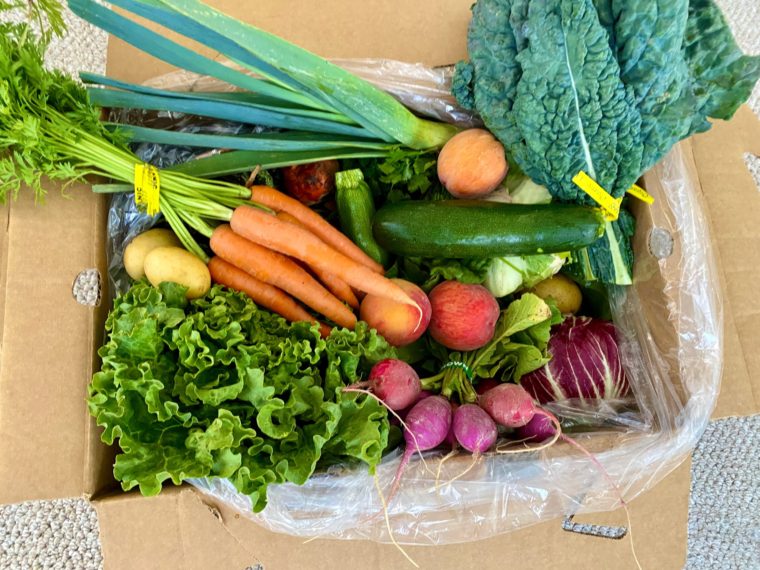 Organic Farm Produce Box for Delivery